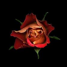 Hicham Azil