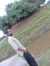 Bavithr...