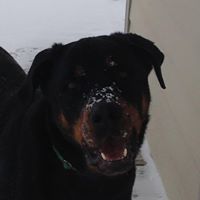 DeeAnn R Borcherding