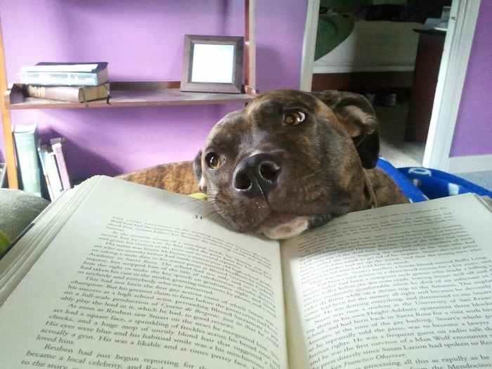 Goodreads profile picture for @sleeper