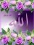 Sawa Il