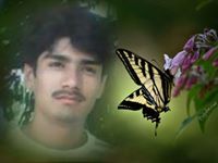 Qamar Qamri