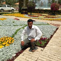 حيدر عبد الامير