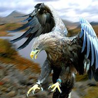 عصام البغدادي