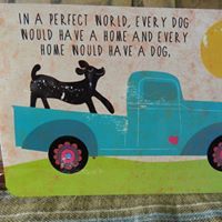 Catherine A Marshall