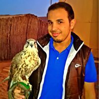 hamza mohammed