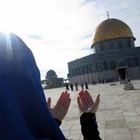 ياسمين الدين