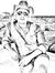 Ahmed K...