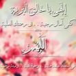 Ahmed Ahmed