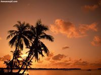 ابتهال البطاح