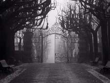 Geek Asylum of the Zombie Apocalypse