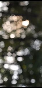 Макс Степанюк