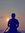 Ankit S...
