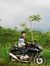 Rizky R...