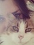 Flory