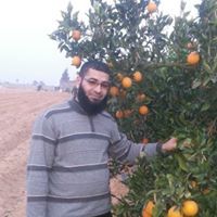 د.محمد السيد