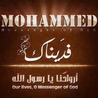 Mohamed Beshr