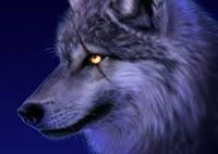 يوسف أبو هلال