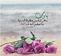 نوال الحجري