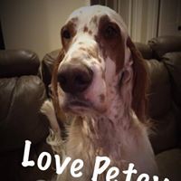 Pamela Spencer Ledbetter