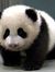 Yu-Ling...