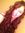 Jaylene...