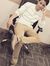 Lalit S...