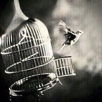 المؤمنة بالله