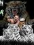 Tigre H...