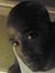 TJ Akins