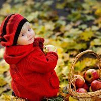 عجائب الدنيا