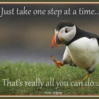 Sonja Weenink-Chambers