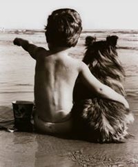 Սեւադա Արաբեան