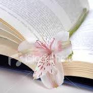 بستان الأدب