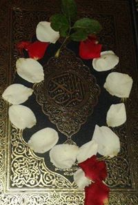 محمود أبومسلم