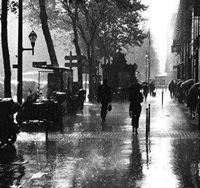 فاطمة البيلي