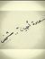 Ahmed S...