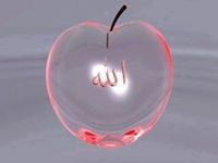 Mohd Iliyas