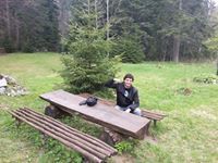 Веселин Гаров