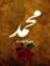Ahmed H...