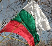 Елка Иванова