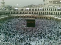 عادل الجوهي