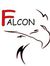 Falcon Cnc