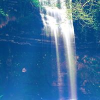 Tilemaxos Theocharis