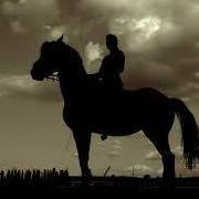 محمدعادل أبوزياد