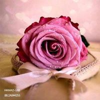 رفيعة الهاجري