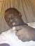 Isah Mu...