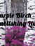 Purple Birch Publishing Ltd.