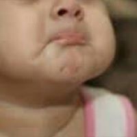 النملة التي