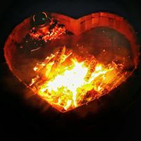 د.مامون ابو رعد